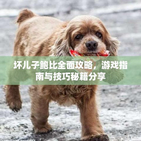 壞兒子鮑比全面攻略，游戲指南與技巧秘籍分享