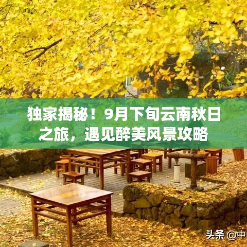 獨(dú)家揭秘！9月下旬云南秋日之旅，遇見醉美風(fēng)景攻略