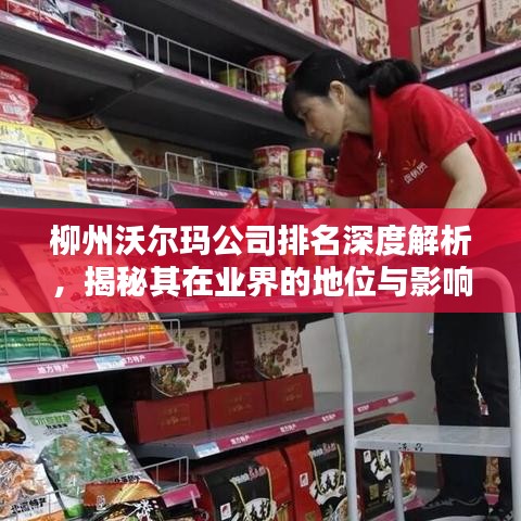 柳州沃爾瑪公司排名深度解析，揭秘其在業(yè)界的地位與影響力