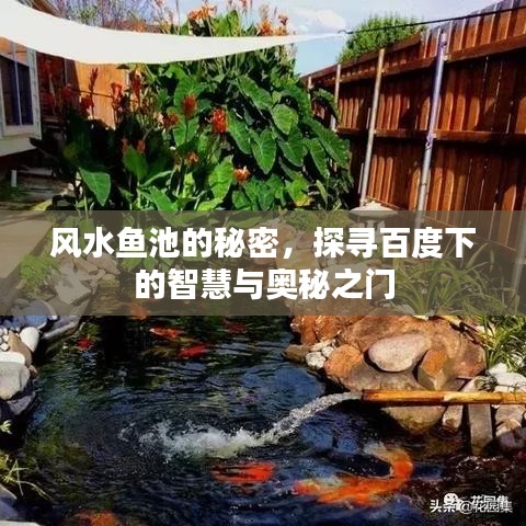 風(fēng)水魚池的秘密，探尋百度下的智慧與奧秘之門