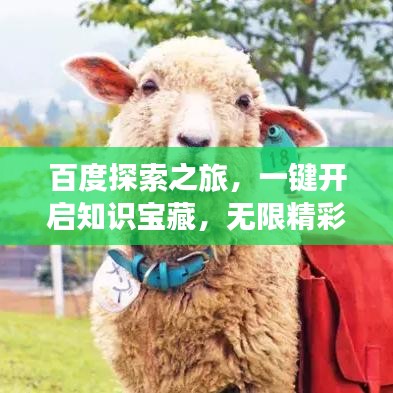 百度探索之旅，一鍵開啟知識寶藏，無限精彩等你發(fā)現(xiàn)！