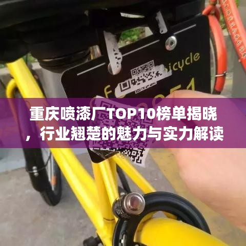重慶噴漆廠TOP10榜單揭曉，行業(yè)翹楚的魅力與實力解讀