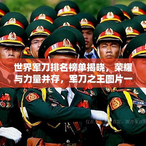 世界軍刀排名榜單揭曉，榮耀與力量并存，軍刀之王圖片一覽無余