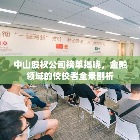 中山股權公司榜單揭曉，金融領域的佼佼者全景剖析
