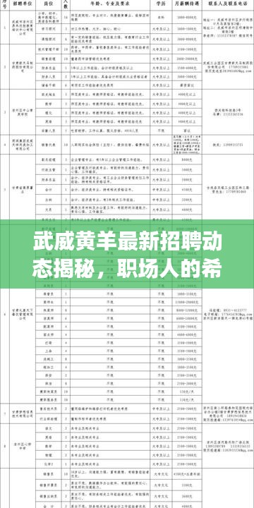 武威黃羊最新招聘動(dòng)態(tài)揭秘，職場(chǎng)人的希望之地