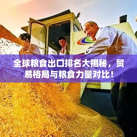 全球糧食出口排名大揭秘，貿(mào)易格局與糧食力量對(duì)比！