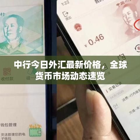 中行今日外匯最新價(jià)格，全球貨幣市場動態(tài)速覽