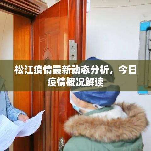 松江疫情最新動態(tài)分析，今日疫情概況解讀