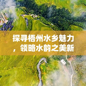 探尋梧州水鄉(xiāng)魅力，領(lǐng)略水韻之美新聞頭條