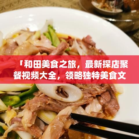 「和田美食之旅，最新探店聚餐視頻大全，領(lǐng)略獨(dú)特美食文化」