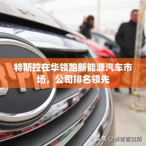 特斯拉在華領(lǐng)跑新能源汽車市場，公司排名領(lǐng)先