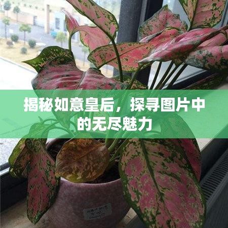 2025年5月15日 第8頁