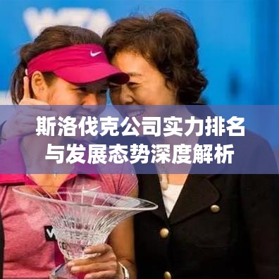 斯洛伐克公司實(shí)力排名與發(fā)展態(tài)勢深度解析