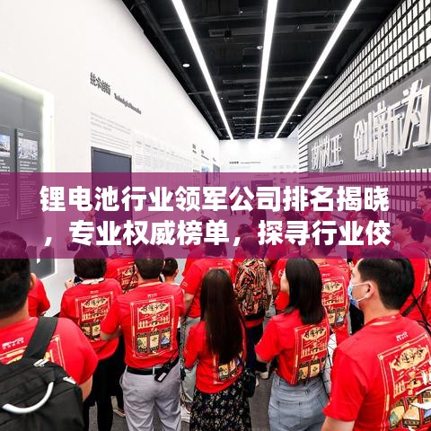 鋰電池行業(yè)領軍公司排名揭曉，專業(yè)權威榜單，探尋行業(yè)佼佼者