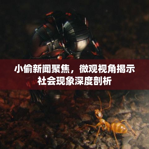 小偷新聞聚焦，微觀視角揭示社會(huì)現(xiàn)象深度剖析
