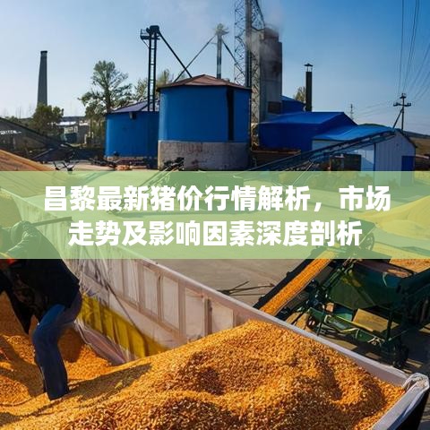 昌黎最新豬價行情解析，市場走勢及影響因素深度剖析