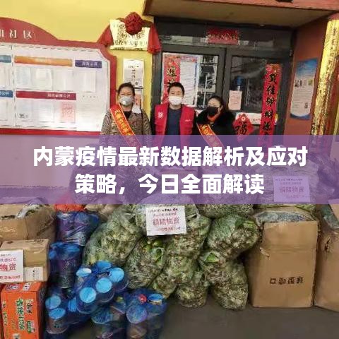 內(nèi)蒙疫情最新數(shù)據(jù)解析及應(yīng)對(duì)策略，今日全面解讀