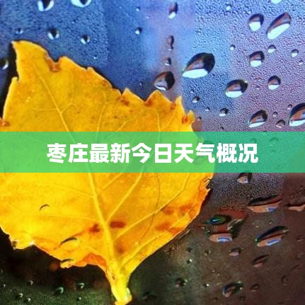 棗莊最新今日天氣概況