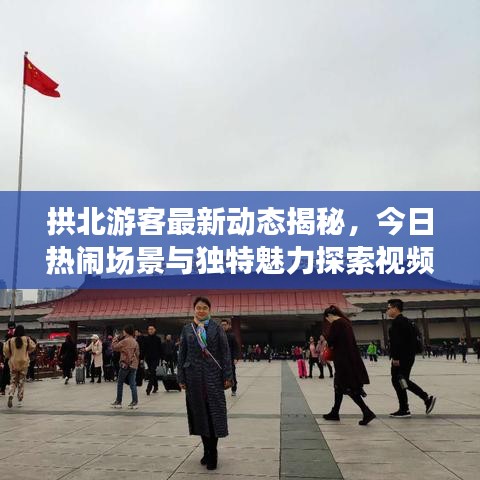 拱北游客最新動態(tài)揭秘，今日熱鬧場景與獨(dú)特魅力探索視頻
