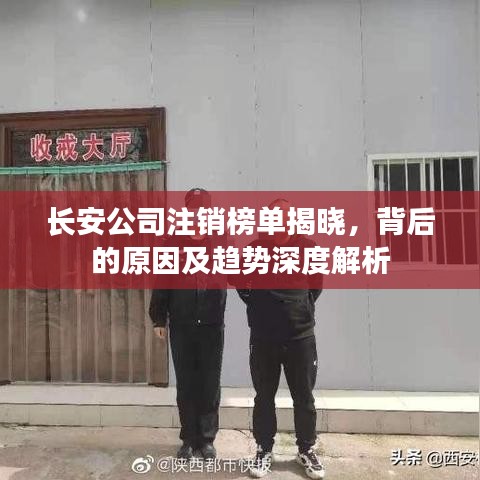 長安公司注銷榜單揭曉，背后的原因及趨勢深度解析