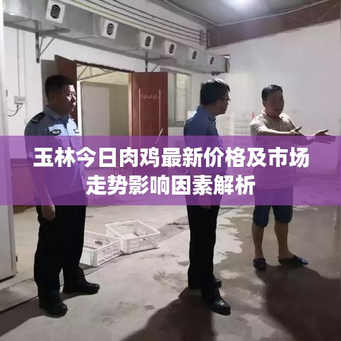 玉林今日肉雞最新價格及市場走勢影響因素解析