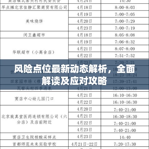 風(fēng)險(xiǎn)點(diǎn)位最新動(dòng)態(tài)解析，全面解讀及應(yīng)對(duì)攻略