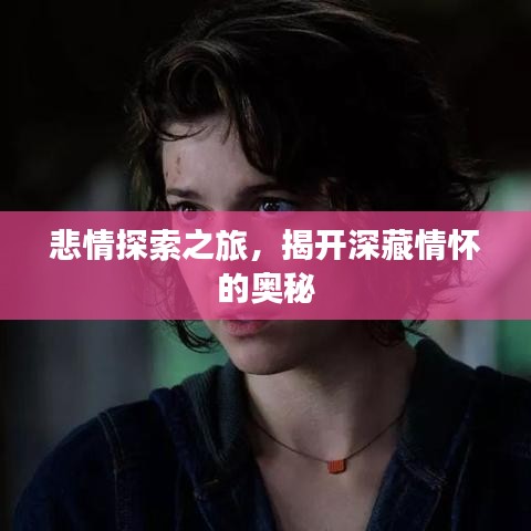 悲情探索之旅，揭開深藏情懷的奧秘