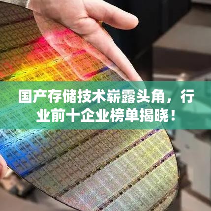 國(guó)產(chǎn)存儲(chǔ)技術(shù)嶄露頭角，行業(yè)前十企業(yè)榜單揭曉！