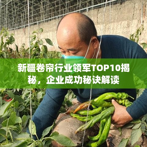 新疆卷簾行業(yè)領(lǐng)軍TOP10揭秘，企業(yè)成功秘訣解讀