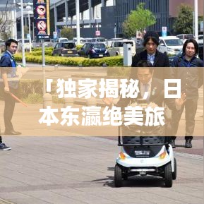 「獨(dú)家揭秘，日本東瀛絕美旅游攻略，開啟你的夢(mèng)幻之旅」