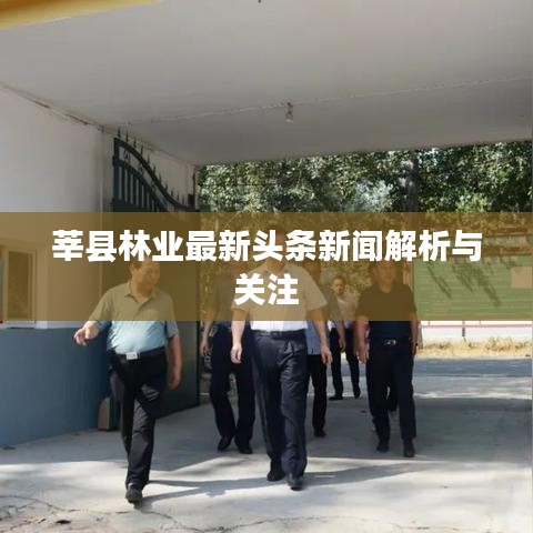 莘縣林業(yè)最新頭條新聞解析與關(guān)注
