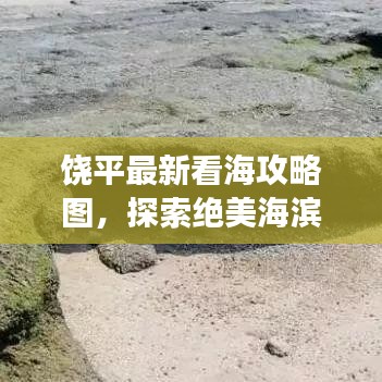 饒平最新看海攻略圖，探索絕美海濱之旅