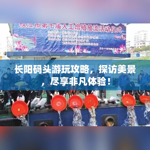 長(zhǎng)陽(yáng)碼頭游玩攻略，探訪美景，盡享非凡體驗(yàn)！