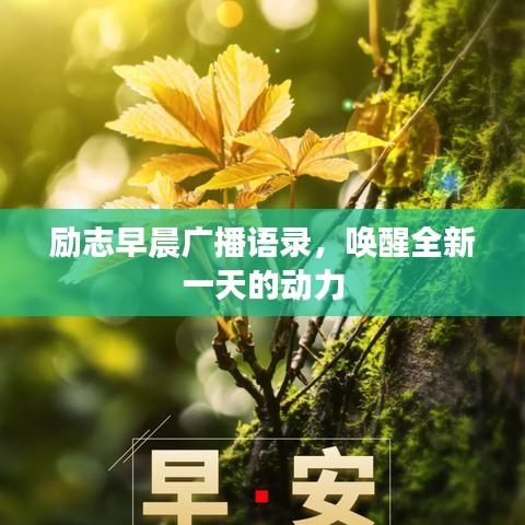 勵志早晨廣播語錄，喚醒全新一天的動力