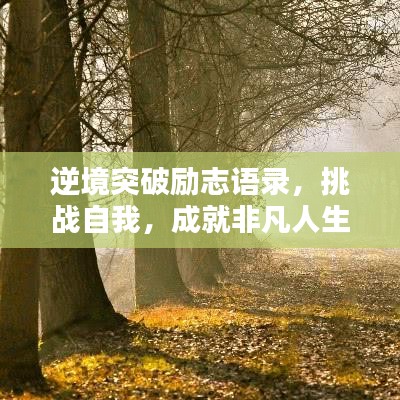 逆境突破勵志語錄，挑戰(zhàn)自我，成就非凡人生之路