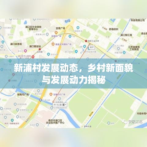 新浦村發(fā)展動態(tài)，鄉(xiāng)村新面貌與發(fā)展動力揭秘