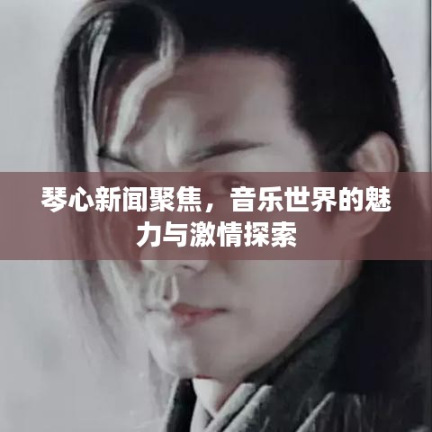 琴心新聞聚焦，音樂世界的魅力與激情探索
