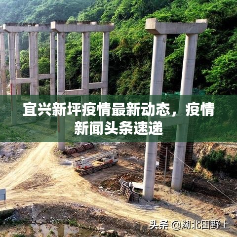 宜興新坪疫情最新動態(tài)，疫情新聞頭條速遞