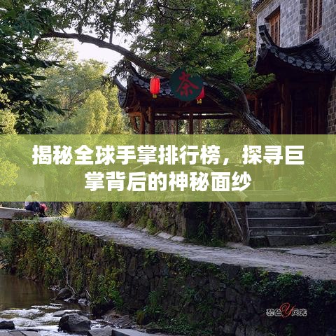 揭秘全球手掌排行榜，探尋巨掌背后的神秘面紗