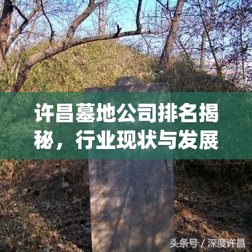 許昌墓地公司排名揭秘，行業(yè)現(xiàn)狀與發(fā)展趨勢深度剖析