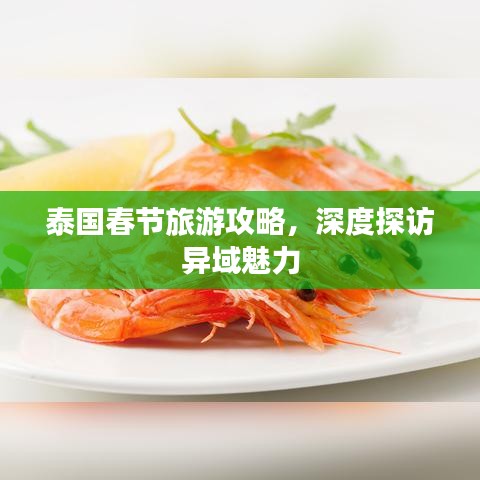 泰國(guó)春節(jié)旅游攻略，深度探訪異域魅力