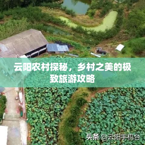 云陽農(nóng)村探秘，鄉(xiāng)村之美的極致旅游攻略