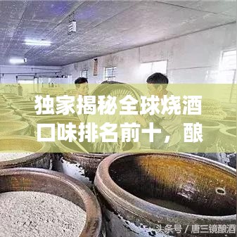 獨(dú)家揭秘全球燒酒口味排名前十，釀酒藝術(shù)之旅領(lǐng)略獨(dú)特風(fēng)味！