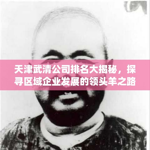 天津武清公司排名大揭秘，探尋區(qū)域企業(yè)發(fā)展的領頭羊之路