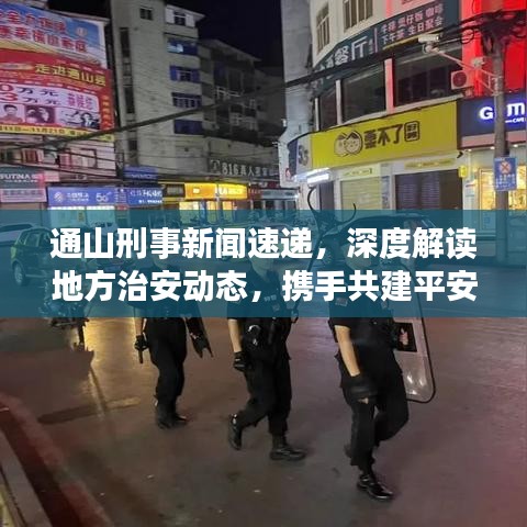 通山刑事新聞速遞，深度解讀地方治安動(dòng)態(tài)，攜手共建平安社會(huì)