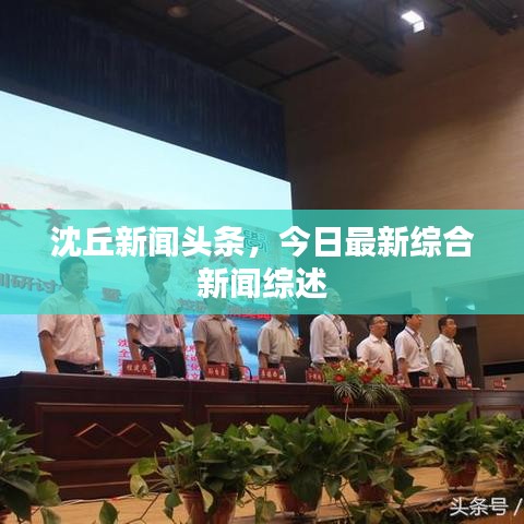 沈丘新聞頭條，今日最新綜合新聞綜述