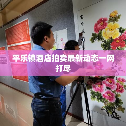 平樂(lè)鎮(zhèn)酒店拍賣(mài)最新動(dòng)態(tài)一網(wǎng)打盡