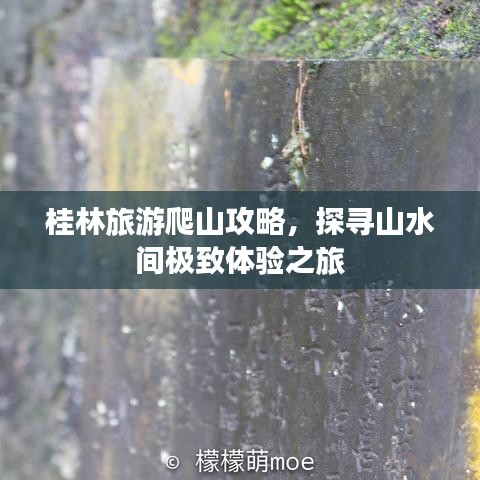 桂林旅游爬山攻略，探尋山水間極致體驗之旅