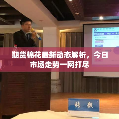 期貨棉花最新動態(tài)解析，今日市場走勢一網(wǎng)打盡