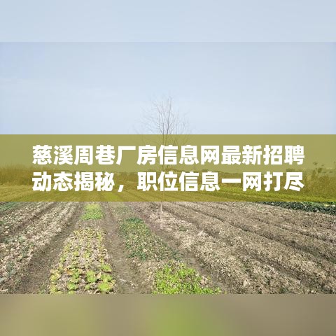 慈溪周巷廠房信息網(wǎng)最新招聘動態(tài)揭秘，職位信息一網(wǎng)打盡！